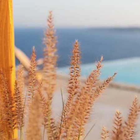 Birdhouse Private Luxury - Romantic Couple Retreat Villa Agios Ioannis Diakoftis