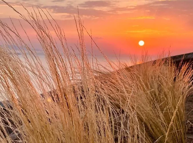 Birdhouse Private Luxury - Romantic Couple Retreat * Agios Ioannis Diakoftis