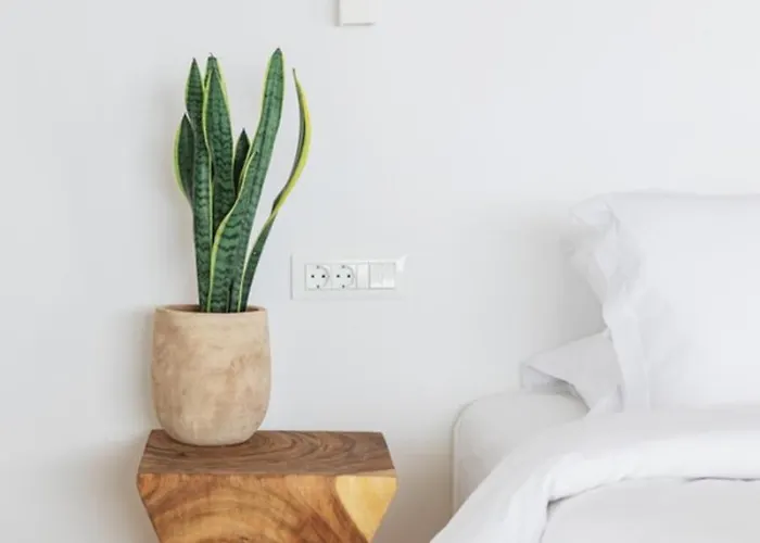 Birdhouse Private Luxury - Romantic Couple Retreat 빌라 Agios Ioannis Diakoftis