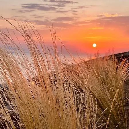 Birdhouse Private Luxury * Agios Ioannis Diakoftis
