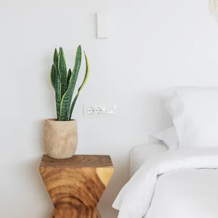 Birdhouse Private Luxury Вилла Agios Ioannis Diakoftis