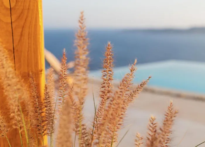 Birdhouse Private Luxury Villa Agios Ioannis Diakoftis