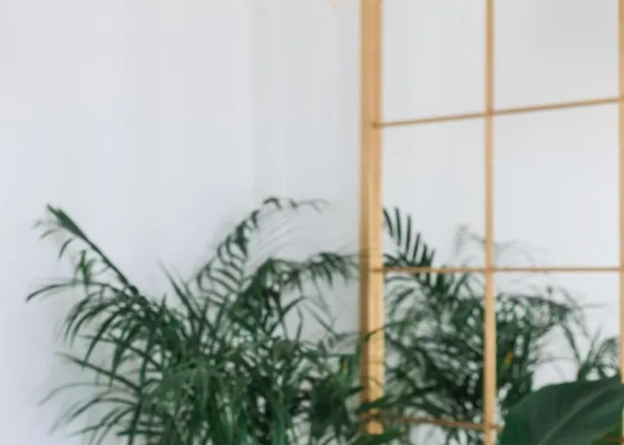 别墅 Birdhouse Private Luxury Agios Ioannis Diakoftis